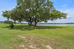 16729 TALL GRASS LANE, CLERMONT, FL 34711 - MLS#MFRO6313827