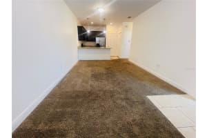 1595 CUMIN DRIVE, KISSIMMEE, FL 34759 - MLS#MFRO6313892