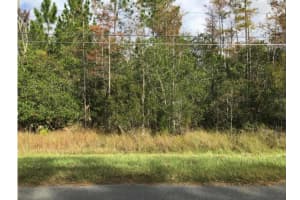 ROBERTSON ST, ORLANDO, FL 32833 - MLS#MFRO6313990