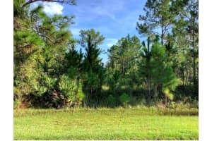 SABAL ST, ORLANDO, FL 32833 - MLS#MFRO6314016