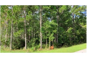 MARDI GRAS ST, ORLANDO, FL 32833 - MLS#MFRO6314019