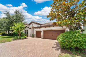 12784 BURNS DRIVE, ODESSA, FL 33556 - MLS#MFRO6314186