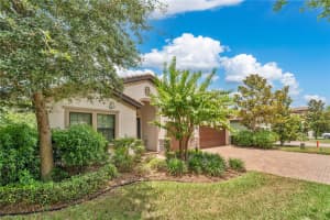 12784 BURNS DRIVE, ODESSA, FL 33556 - MLS#MFRO6314186