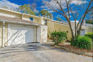 11239 Cedar Hollow Ln, TAMPA