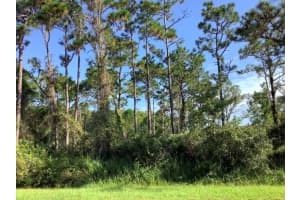 QUINELLA ST, ORLANDO, FL 32833 - MLS#MFRO6314276