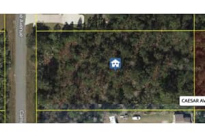 CARNEGIE AVE, ORLANDO, FL 32833 - MLS#MFRO6314284