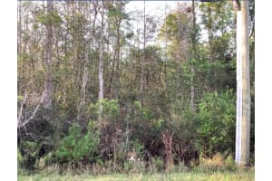 20828 QUINLAN STREET, ORLANDO, FL 32833 - MLS#MFRO6314288
