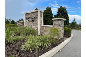 1393 SAWGRASS HAMMOCK LANE, DAVENPORT, FL 33837 - MLS#MFRO6314694