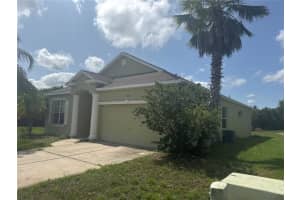 1452 Crazy Horse Dr, LUTZ