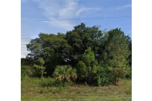 8014 135TH STREET ROAD, OCALA, FL 34473 - MLS#MFRO6314951