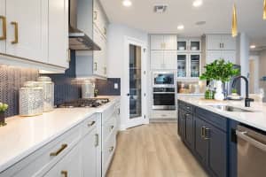 842 Creeping Fig St, APOPKA