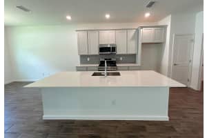 2357 SIRENA LANE, MOUNT DORA, FL 32757 - MLS#MFRO6315059