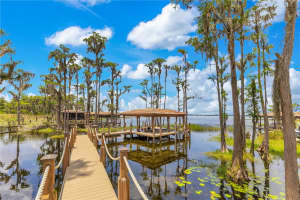 11103 Bridge House Rd Windermere, FL 34786 - Off Market