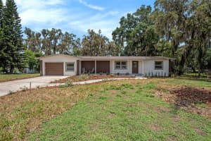 14050 Blackjack Rd, DOVER