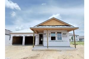 30124 MISTY PINES ROAD, MOUNT DORA, FL 32757 - MLS#MFRO6315428
