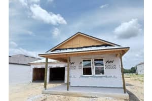 30124 MISTY PINES ROAD, MOUNT DORA, FL 32757 - MLS#MFRO6315428