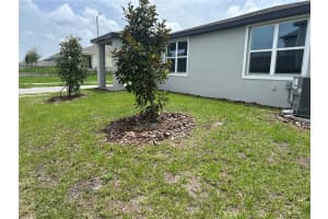 1345 GRIFFON AVE AVENUE, LAKE ALFRED, FL 33850 - MLS#MFRO6315472