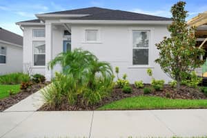 28761 Sweet Persimmon Dr, WESLEY CHAPEL