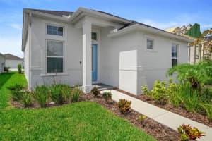 28761 SWEET PERSIMMON DRIVE, WESLEY CHAPEL, FL 33543 - MLS#MFRO6315500