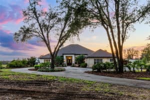 9019 TOWER PINE DRIVE, WINTER GARDEN, FL 34787 Sold 08/08/25