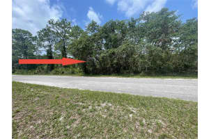 E CASHEW CT, EUSTIS, FL 32736 - MLS#MFRO6315642
