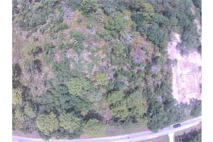 E CASHEW CT, EUSTIS, FL 32736 - MLS#MFRO6315642