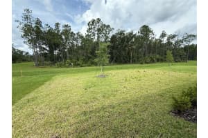 368 BIRKDALE DRIVE, DAYTONA BEACH, FL 32124 - MLS#MFRO6315674