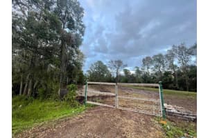 18963 OLD CHENEY HIGHWAY, ORLANDO, FL 32820 - MLS#MFRO6315862