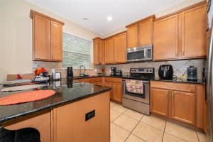 9539 SILVER BUTTONWOOD STREET, ORLANDO, FL 32832 - MLS#MFRO6315947
