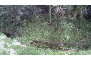 2737 10TH STREET, ORLANDO, FL 32820 - MLS#MFRO6316091