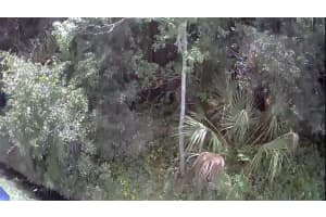 2737 10TH STREET, ORLANDO, FL 32820 - MLS#MFRO6316091