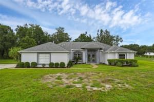 15038 WILLOW LANE, TAVARES, FL 32778 - MLS#MFRO6316126