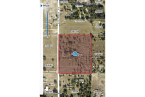 28720 COLUMBIA ROAD, TAVARES, FL 32778 - MLS#MFRO6316202