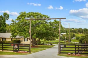 12434 SULLIVAN ROAD, CLERMONT, FL 34715 - MLS#MFRO6316304
