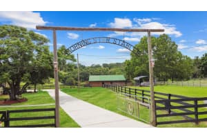 12434 SULLIVAN ROAD, CLERMONT, FL 34715 - MLS#MFRO6316304
