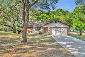 3915 SPANIEL TRAIL, INVERNESS, FL 34450 - MLS#MFRO6316317
