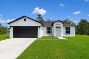 313 Bass Ct, KISSIMMEE
