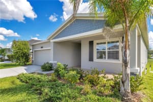 16409 FERNRIDGE STREET, CLERMONT, FL 34714 - MLS#MFRO6316379