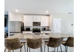 29783 ANAHID DRIVE, LEESBURG, FL 34748 Sold 07/15/25