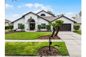 9246 Dayflower Dr, TAMPA