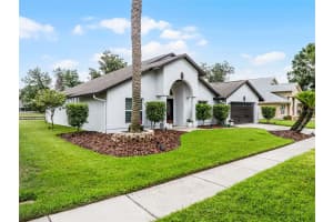 9246 DAYFLOWER DRIVE, TAMPA, FL 33647 - MLS#MFRO6316610