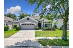 10875 Arbor View Blvd, ORLANDO