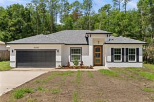 10290 N Biscayne Dr, CITRUS SPRINGS
