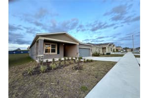 1147 POMELO STREET, DAVENPORT, FL 33837 - MLS#MFRO6316802