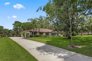 9601 AMBLESIDE DRIVE, WINDERMERE, FL 34786 Sold 07/21/25