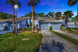 4239 Brentwood Park Cir, TAMPA