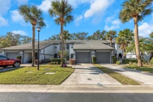 4239 BRENTWOOD PARK CIRCLE, TAMPA, FL 33624 - MLS#MFRO6316868