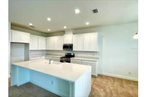 341 SWITCHGRASS LOOP, MINNEOLA, FL 34715 Sold 08/28/25