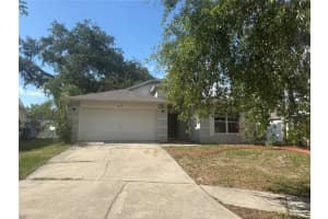 4706 Dragon Tail Ct, VALRICO