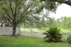 1868 HAMMOCK MOSS DR, ORLANDO, FL 32820 - MLS#MFRO6316959